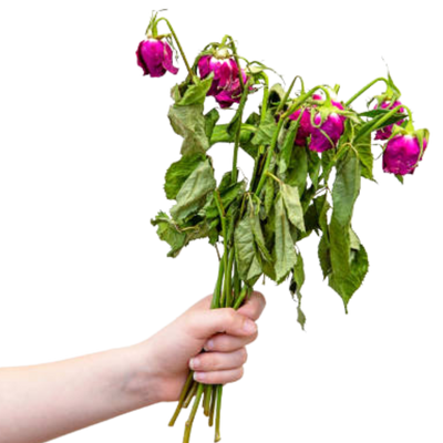 Fresh Flower Bouquet